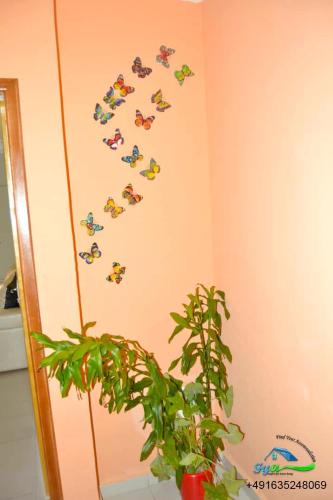 Superbe Appartement meuble Haut standing Ndogbong Douala