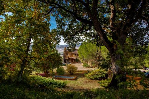 Agriturismo Le Roghete - image 12