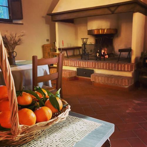 Podere La Chiusella B&B - Stellino