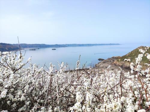 La clé des falaises Meublé de tourisme 3 étoiles