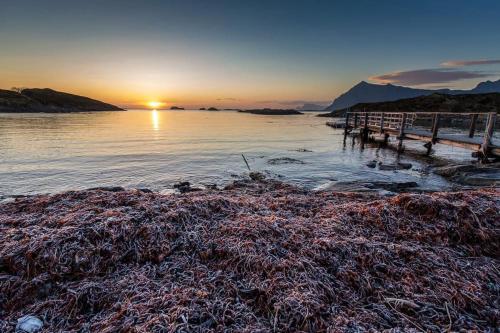 Lofoten - New apartment, close to airport. in Leknes