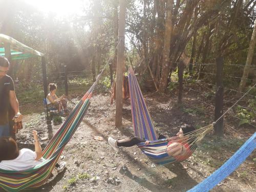 Aktivitātes, Refugio los naranjales in El Colegio