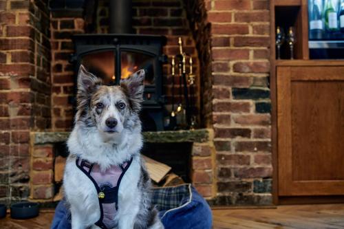 338153602 Hare And Hounds Newbury