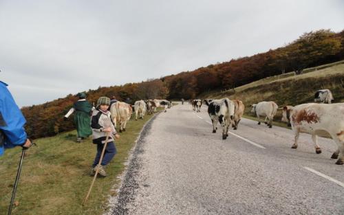 Les Chantenées - image 4