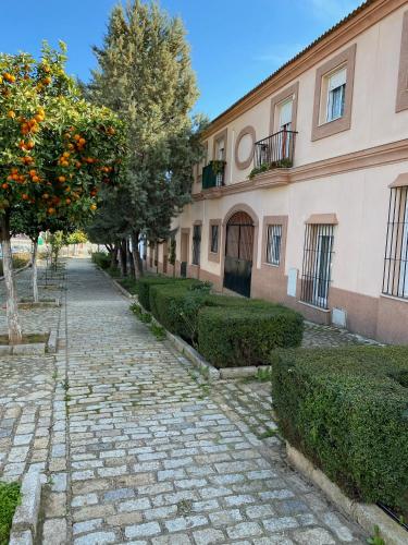  Sevilla. Gerena Casa Rural para familia o profesionales in Gerena