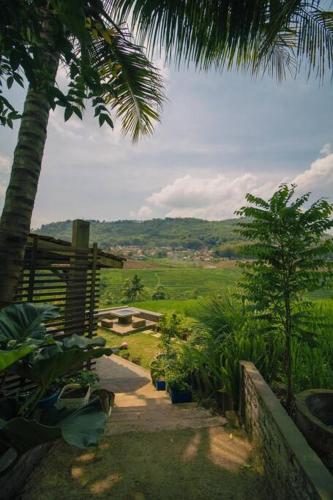 Villa Cetok Syariah - Nuansa Pedesaan