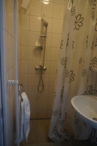 Hotel Ajka - image 7