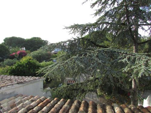 villetta a schiera vicino al mare gîte à louer Santa Luria