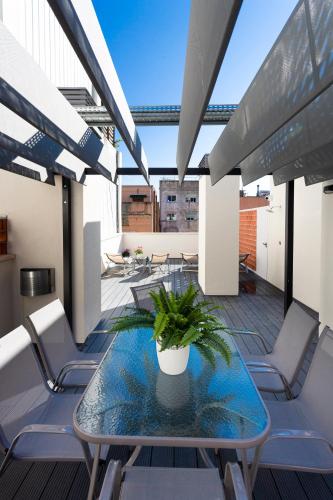 8 lacus duplex 2