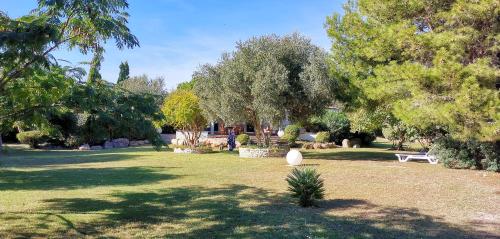 Villa Le Lagon - Vision Luxe - image 13
