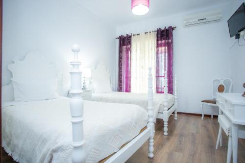 Hotel Domus - image 14