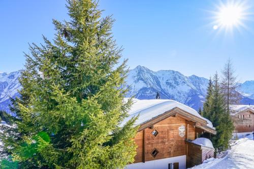 Chalet Mossegor in Bettmeralp