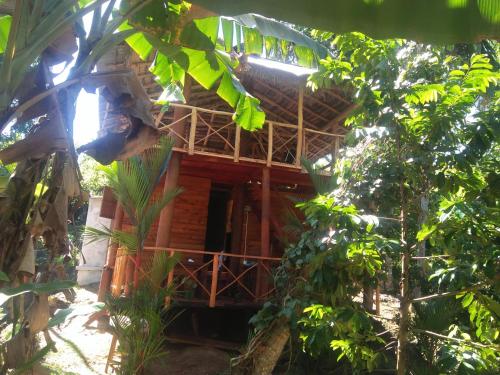 Marvellous Tree House
