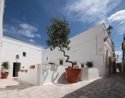  Santa Marina Bed&Breakfast, Pension in Massafra