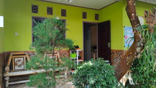 Easy Guest House