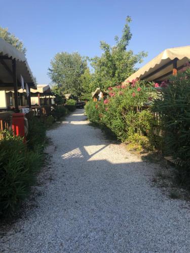 Comfort Mobilehome Camping in Viareggio R7 gîte à louer Viareggio