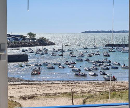 Nina studio 5 Places avec vue sur la baie au pied des commerces Classé 3 étoiles