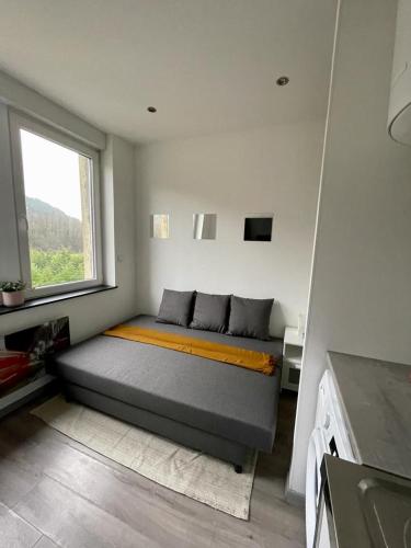 Sympathique Studio Frontalier - Apartment - Knutange