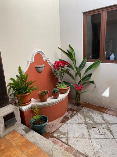 Suite don Pedro: Hermoso Loft con parqueo gratis!, Antigua Guatemala (foto 10)