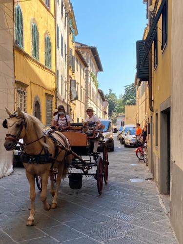  6 Via della Rosa in Lucca