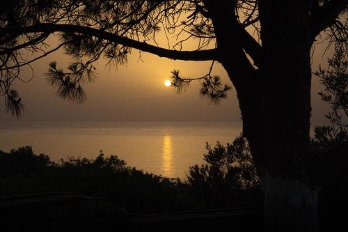 Eight Dimensions Capari Suites Elafonisos