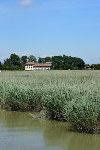 Agriturismo Venice Photobirding