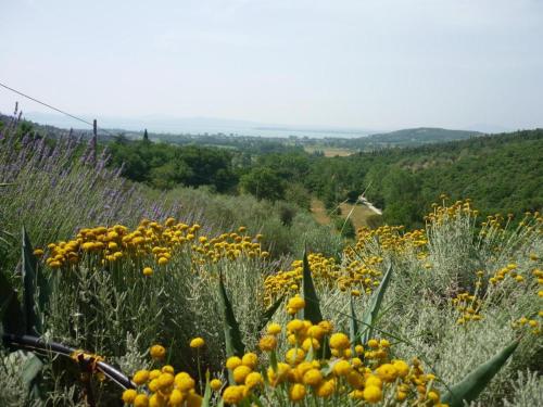 casaemilia2 3