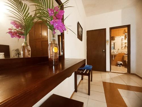 Casa De Los Pajaros - B&B in Fernando Novelo