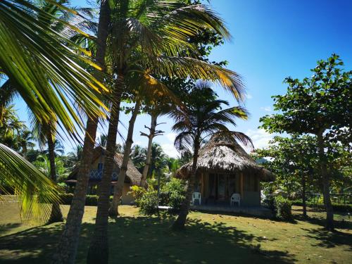 Hotel Playa Mandala Palomino