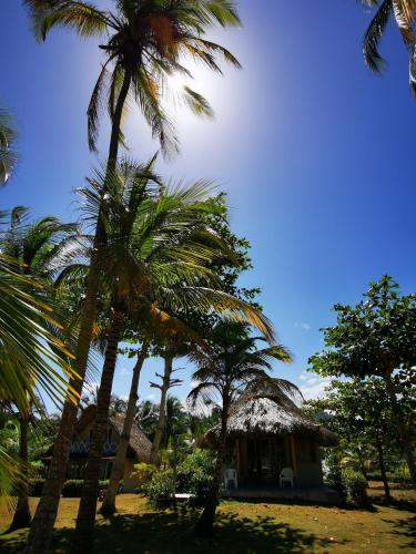 Hotel Playa Mandala