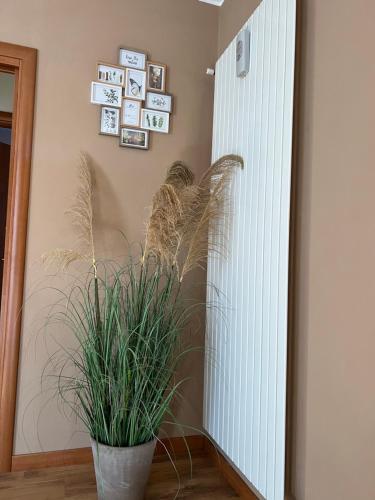 Le joli Lac in 帕拉蒂科