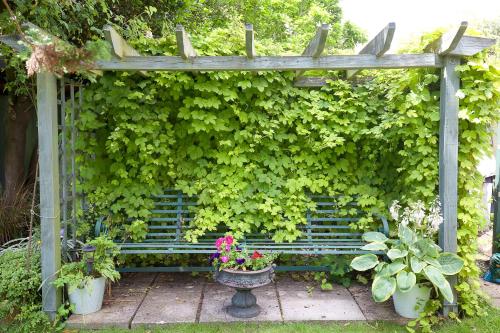 The Old House Guest House - image 13