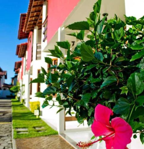 Residencial Mont Sinai Tonziro -Taperapuan apto 01 4