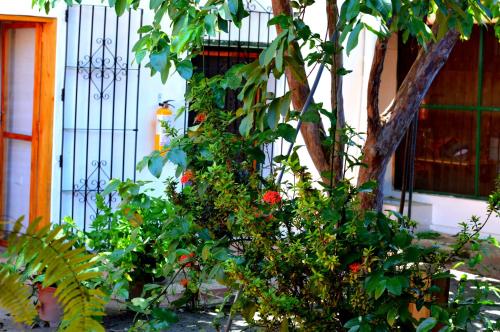 Casa Serrano - Callejón de Don Blas 4 Hab Cañaguate