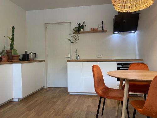 Kitchen, Northgo apartment in Noordwijk