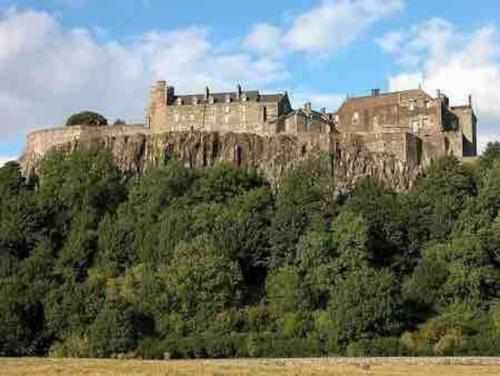 Picture of Allerton - Victorian Character Home In Stirling