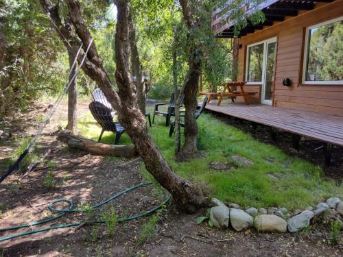 Garden, Cabana Los Cipreses in Lago Gutierrez