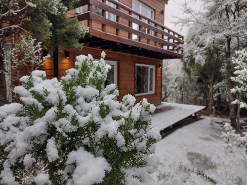Cabana Los Cipreses in Lago Gutierrez