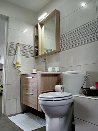 Baño, T2 Échappée belle Sainte-Marie Kybo Karaib Location pkg Mtgne Cosy (T2 Echappee belle Sainte-Marie Kybo Karaib Location pkg Mtgne Cosy) in Sainte-Marie