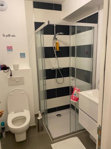 joli petit nid douillet en centre ville 4