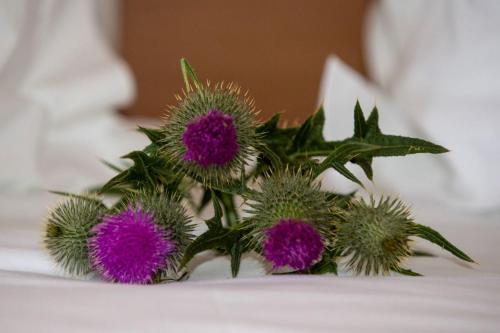 Springburn Farmhouse – Spean Bridge