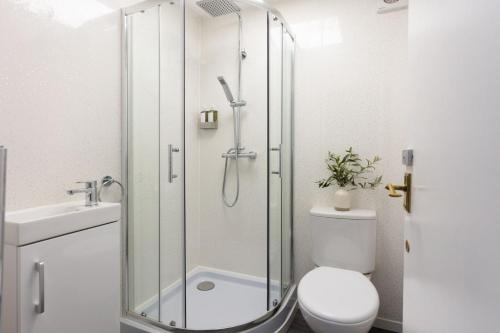 Single Room image 4