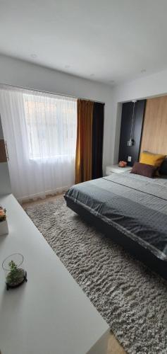 Chilia 1 Apartments in Chilia Veche