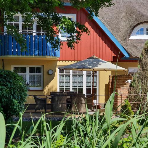 Kombüse by Ferienhaus Strandgut, Born (photo 3)