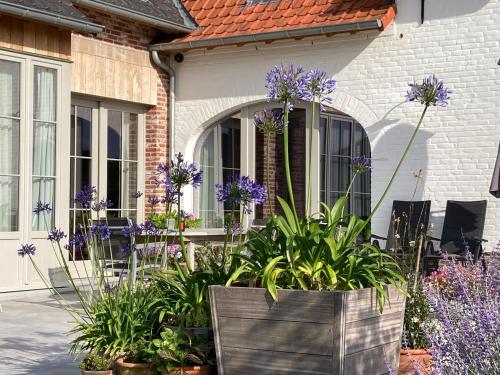 B&B Waterput 1 in Stalhille