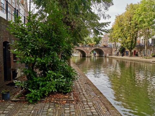 Werfkelder aan de Oudegracht 2