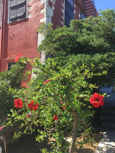 Oasis Guesthouse - image 11
