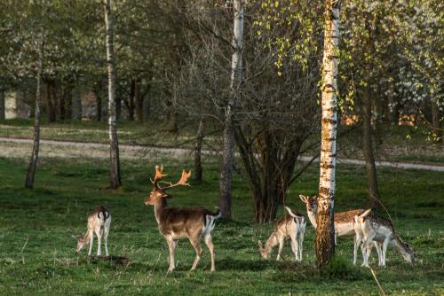 Agriturismo I Leprotti