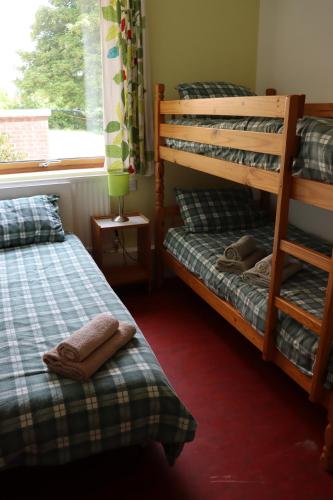 South Downs Eco Lodge & Camping Room Type - Budget Triple Room