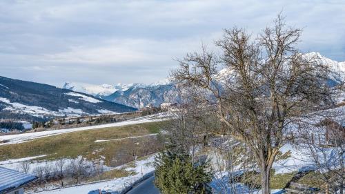 Gasthof Neuwirt – Ellbögen, IL